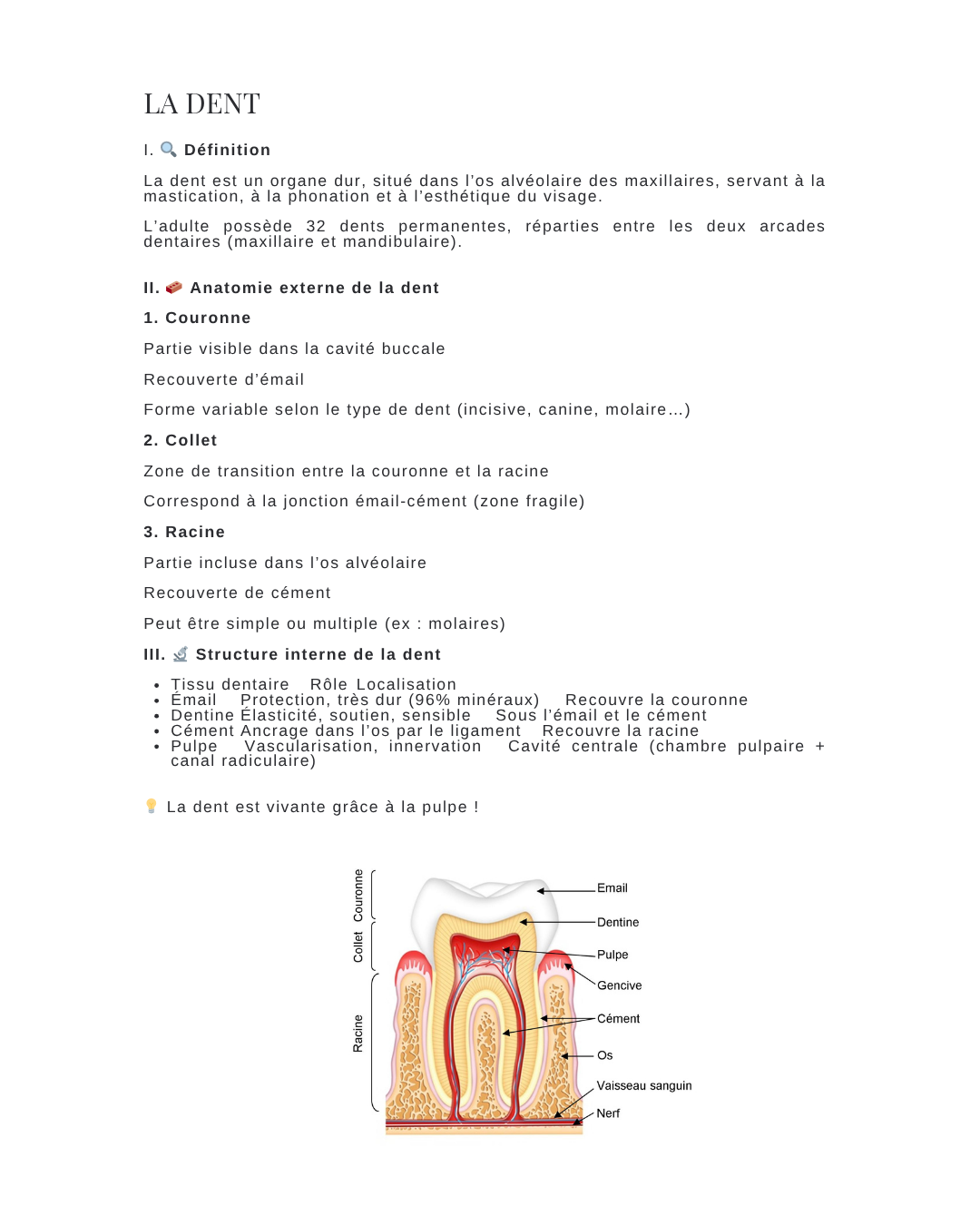 Cahier de prothèse dentaire