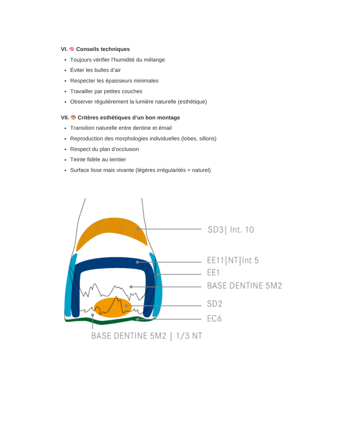 Cahier de Révision Bac Pro Prothèse Dentaire