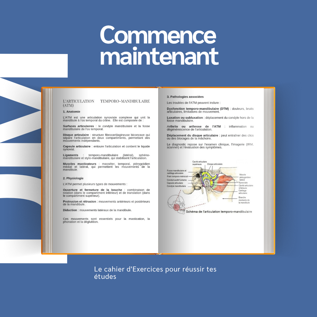 Cahier de révision BTS