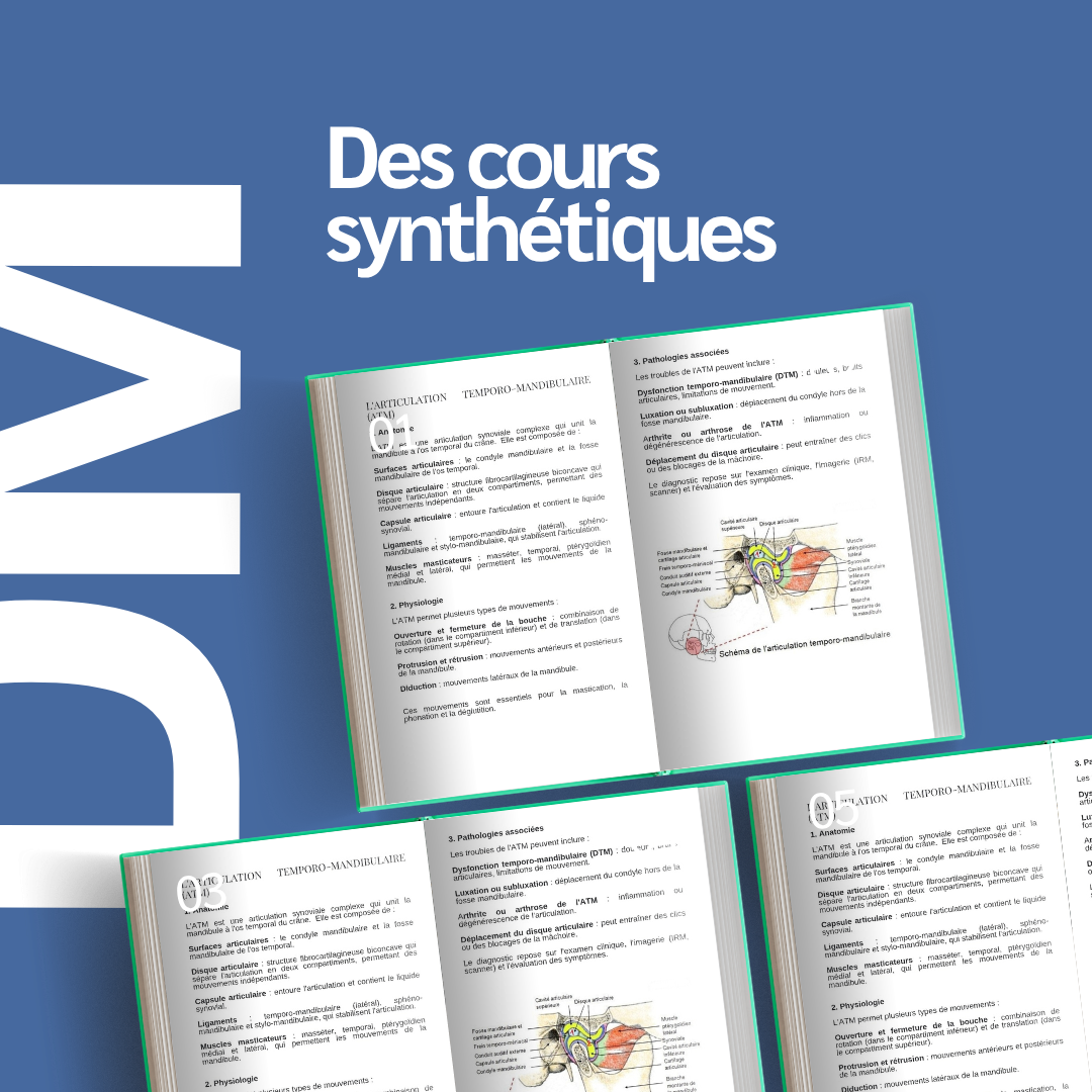 Cahier de révision BTS