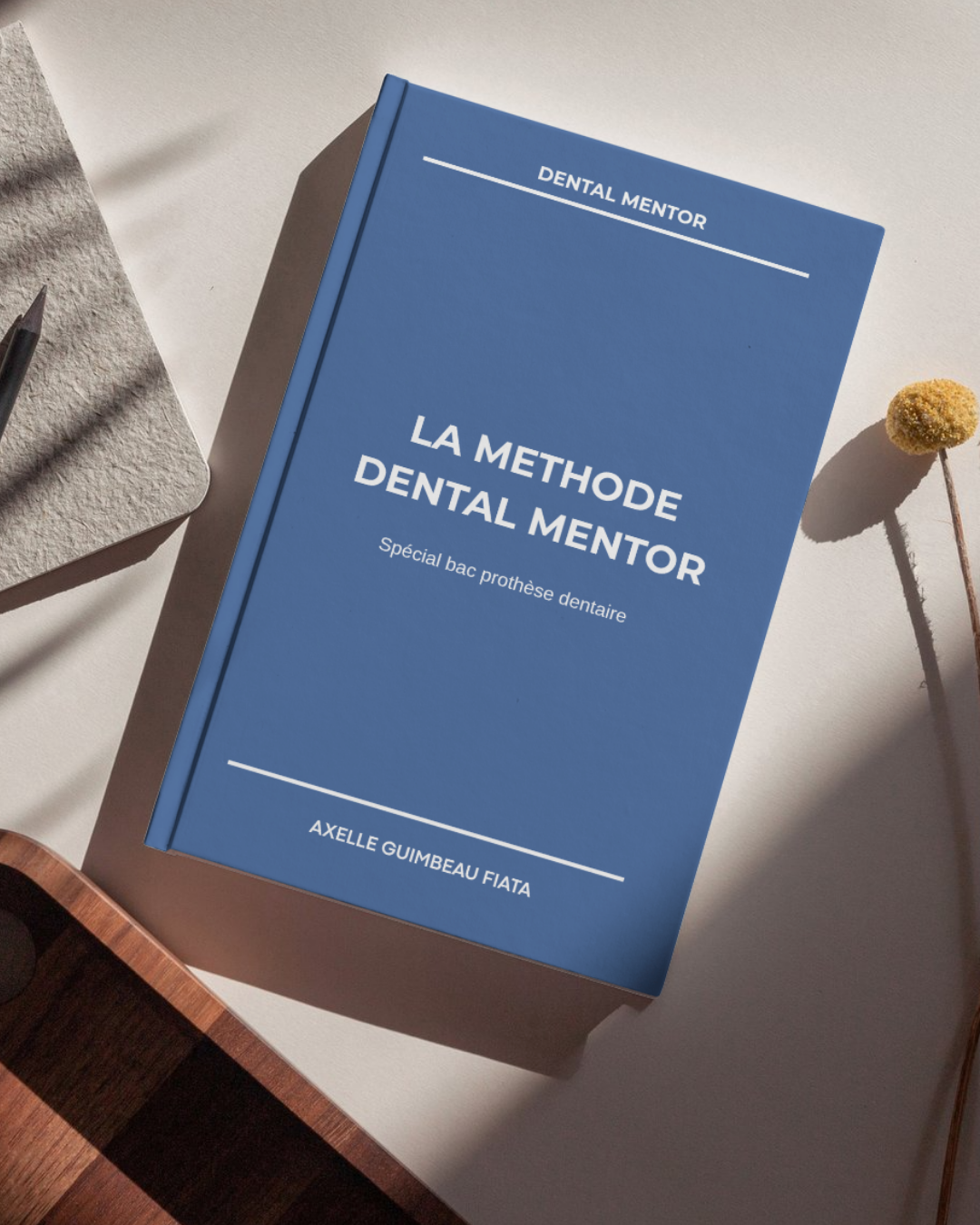 Cahier de Révision Bac Pro Prothèse Dentaire